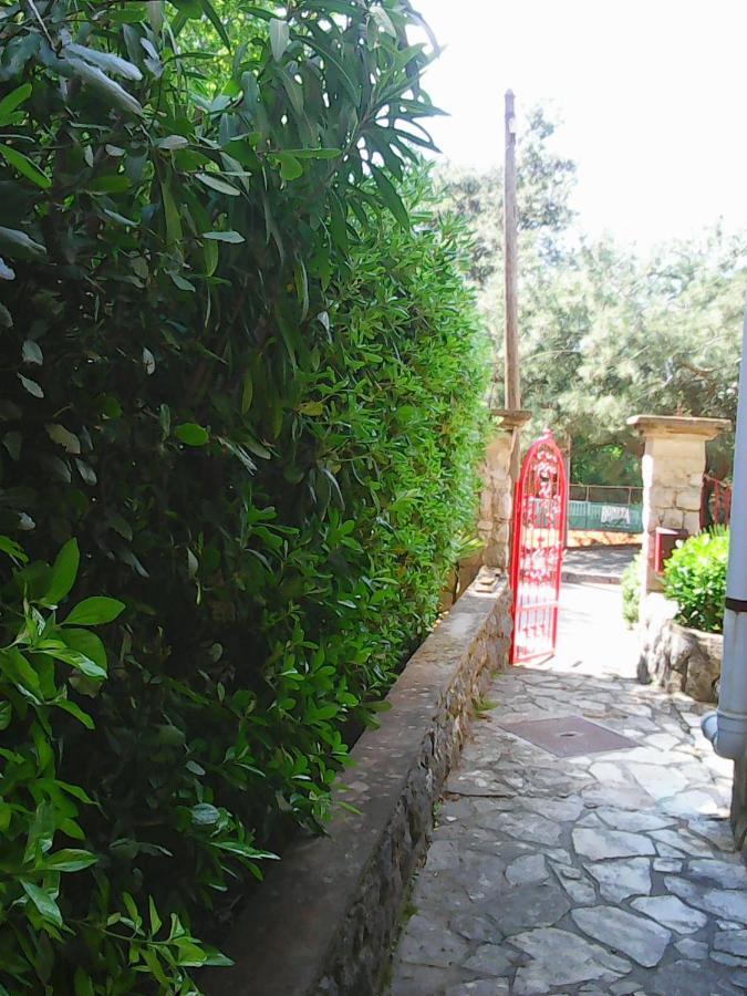 Villa Maja オミサリ 部屋 写真